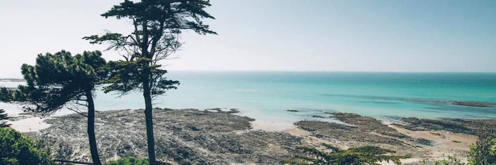 Les Iles Vue Sur Mer Агон-Кутенвиль Экстерьер фото